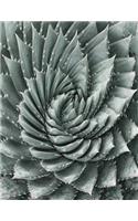 Spiral Cactus Notebook