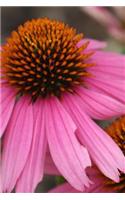Pink Coneflower - Lined Notebook with Margins: 101 Pages, Medium Ruled, 6 x 9 Journal, Soft Cover