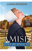 Amish Love Be Patient