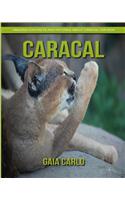 Caracal: Amazing Fun Facts and Pictures about Caracal for Kids