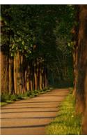Chestnut Trees Notebook: 150 lined pages, softcover, 6 x 9