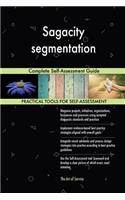 Sagacity segmentation: Complete Self-Assessment Guide