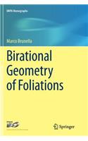 Birational Geometry of Foliations