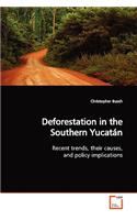 Deforestation in the Southern Yucatán