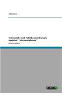 Totenwache und Totenbeschwörung in Apuleius' 