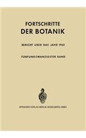 Bericht Über Das Jahr 1962
