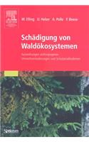 Schädigung Von Waldökosystemen