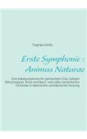 Erste Symphonie