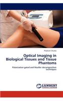 Optical Imaging in Biological Tissues and Tissue Phantoms