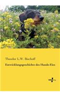 Entwicklungsgeschichte des Hunde-Eies