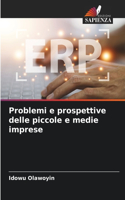Problemi e prospettive delle piccole e medie imprese