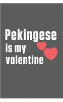 Pekingese is my valentine: For Pekingese Dog Fans