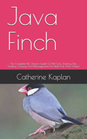 Java Finch