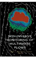 Non-Invasive Monitoring of Multiphase Flows