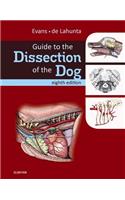 Guide to the Dissection of the Dog