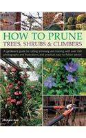 How to Prune Trees, Shrubs & Climbers