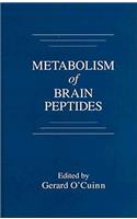 Metabolism of Brain Peptides