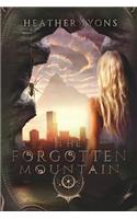 Forgotten Mountain