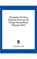 Description De Deux Echinides Nouveaux De L'Etage Nummulitique D'Egypte (1863)