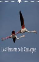Les Flamants De La Camargue 2018: Scenes De La Vie D'une Espece Fascinante.(Calvendo Nature)