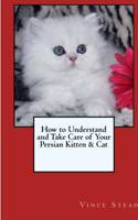 How to Understand and Take Care of Your Persian Kitten & Cat