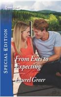 From Exes to Expecting: (1 Sutter Creek, Montana)