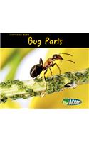 Bug Parts: (Comparing Bugs)