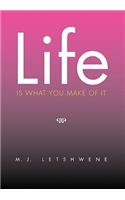 Life Is What You Make of It