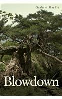 Blowdown