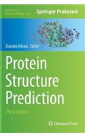 Protein Structure Prediction