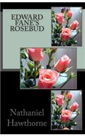 Edward Fane's Rosebud