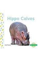 Hippo Calves