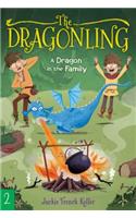 A Dragon in the Family, 2