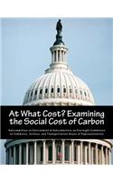 At What Cost? Examining the Social Cost of Carbon