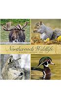 Northwoods Wildlife 2018 Calendar