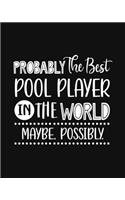 Probably the Best Pool Player In the World. Maybe. Possibly.