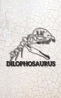 Eikland - Notes: Dinosaurier Dilophosaurus Schädel - Notizbuch 15,24 x 22,86 unliniert