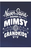 Never Stand Between A Mimsy And Her Grandkids