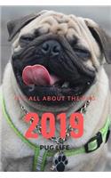 It;s All about the Pug