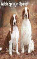 Welsh Springer Spaniel 2023 Wall Calendar