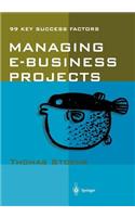 Managing E-Business Projects