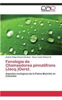 Fenología de Chamaedorea pinnatifrons (Jacq.)Oerst.