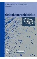 Gelenkknorpeldefekte