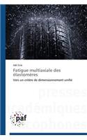 Fatigue Multiaxiale Des Élastomères