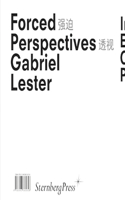 Gabriel Lester