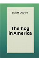 The Hog in America