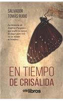 tiempo de crisálida