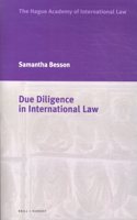 Due Diligence in International Law