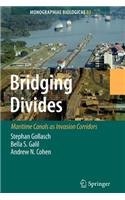 Bridging Divides