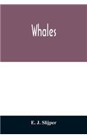 Whales
